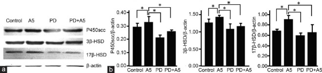 Figure 5