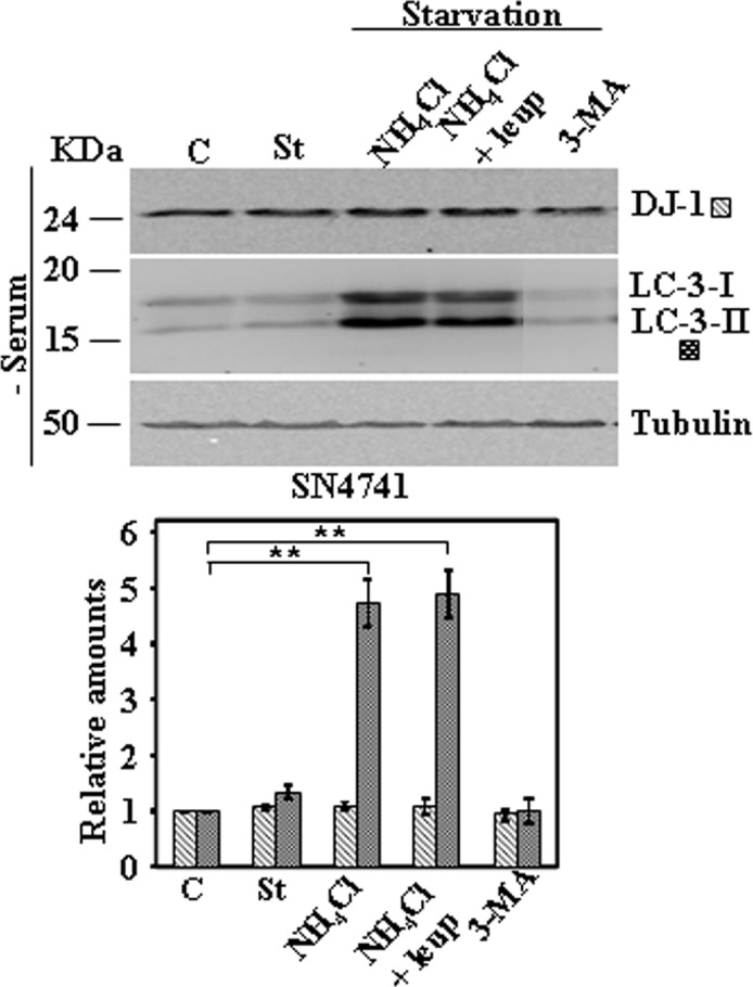 Fig 7