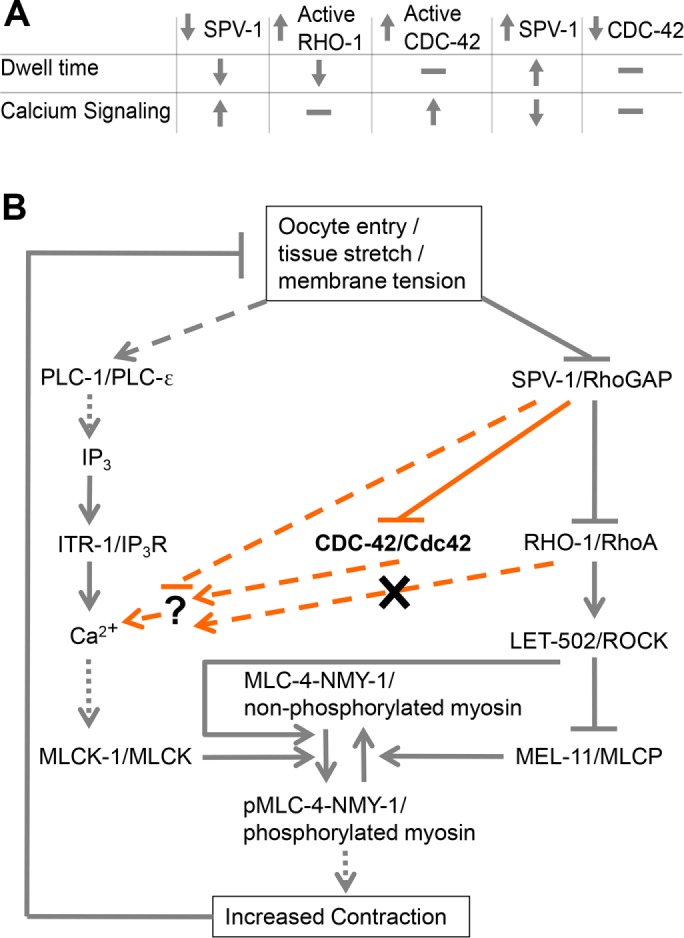 FIGURE 9: