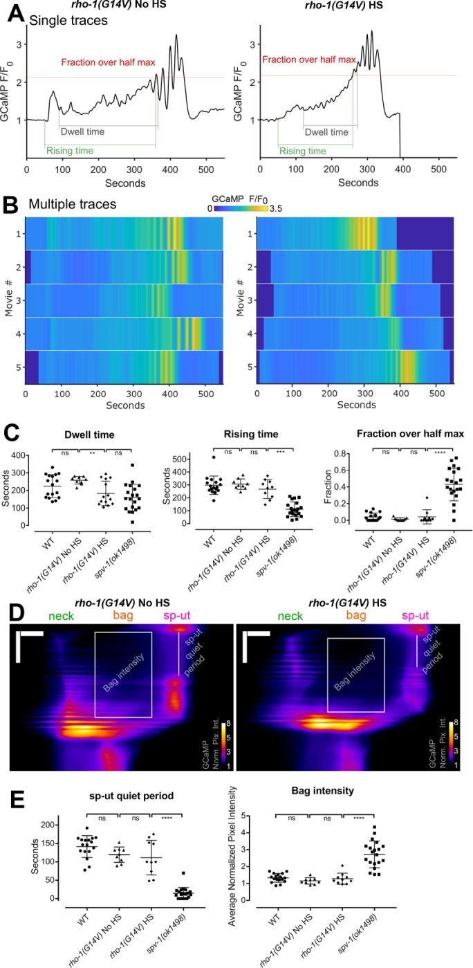 FIGURE 4: