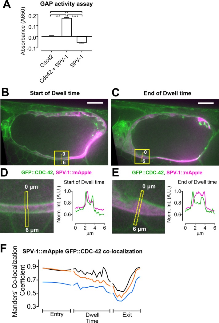 FIGURE 6: