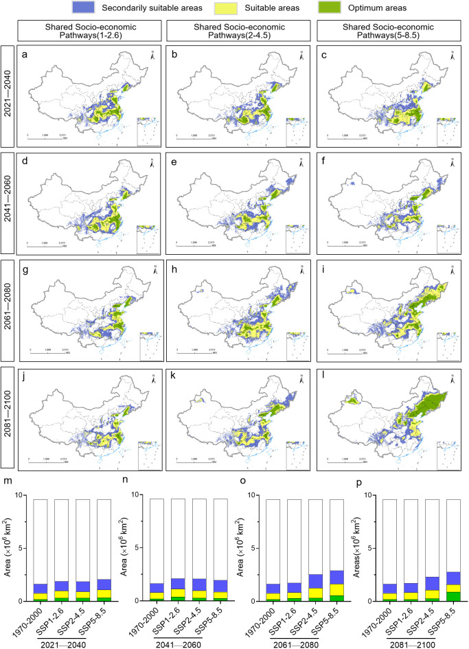 Figure 6