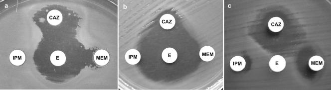 FIG. 2.