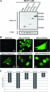 FIG. 4.