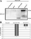 FIG. 5.