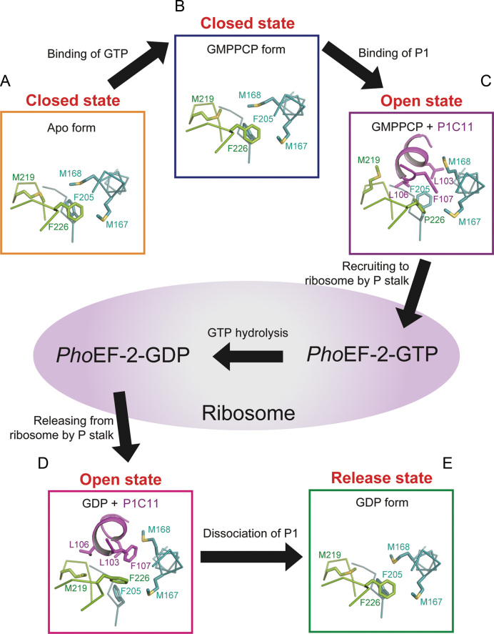 Figure 6.