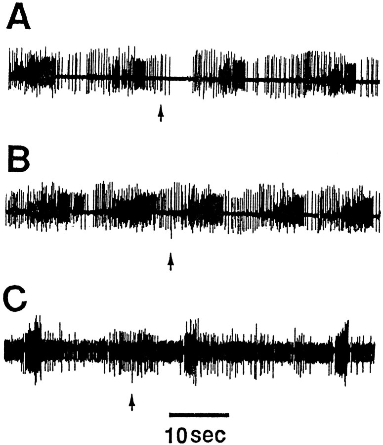 Fig. 19.