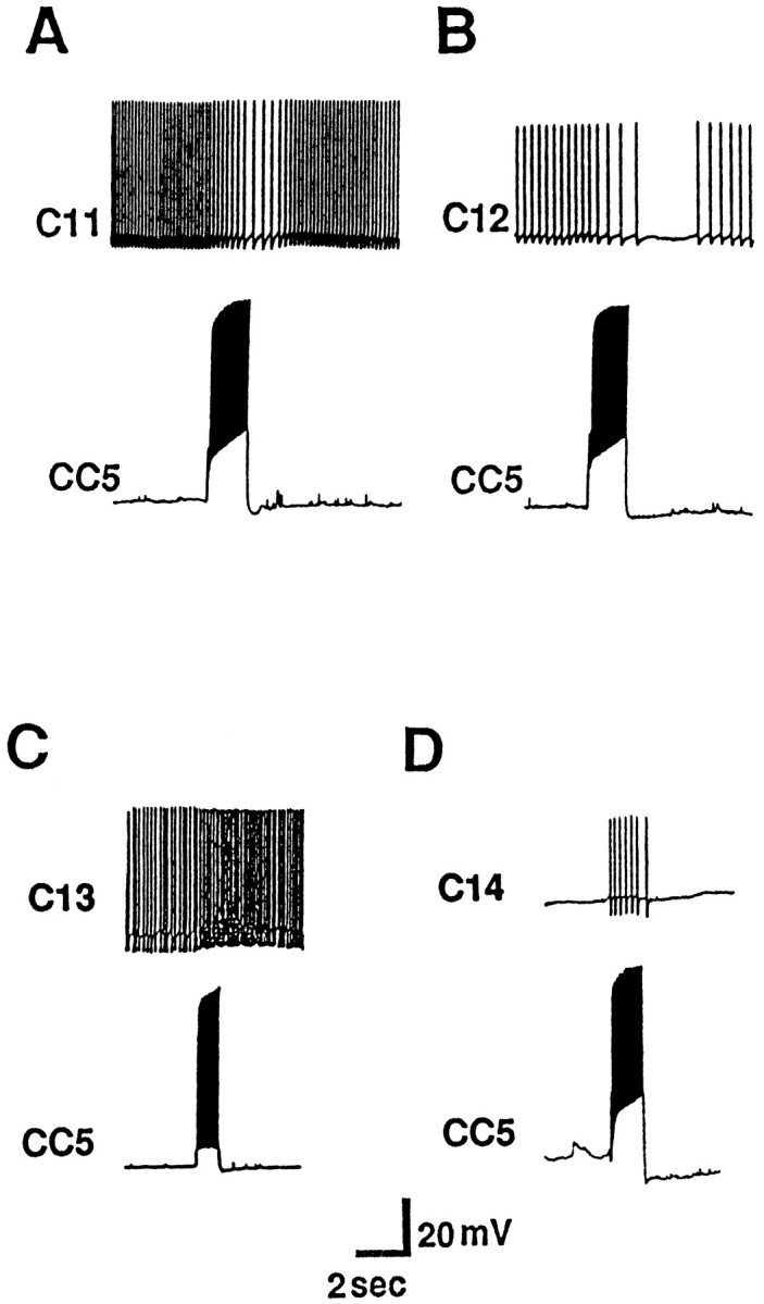 Fig. 15.