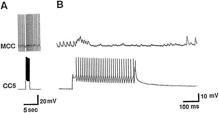 Fig. 11.