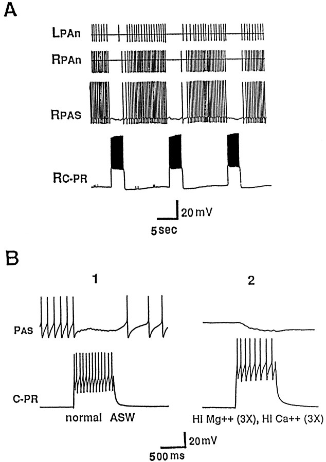 Fig. 10.