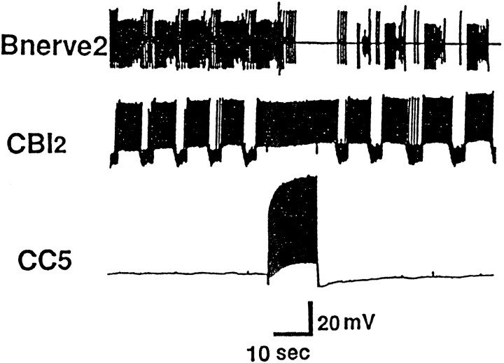 Fig. 14.