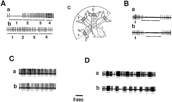 Fig. 18.