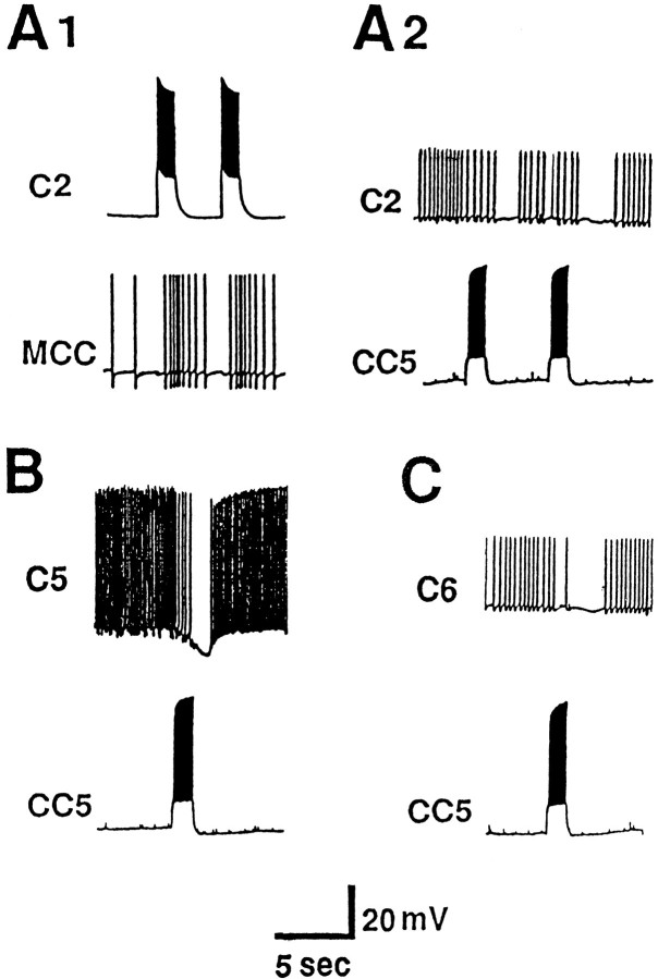 Fig. 12.