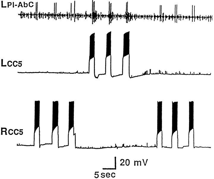 Fig. 4.