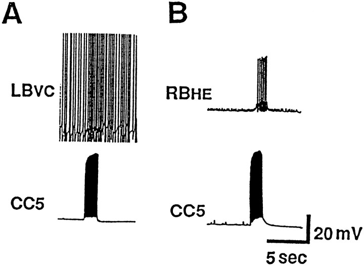 Fig. 17.