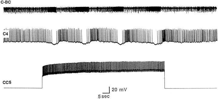 Fig. 13.