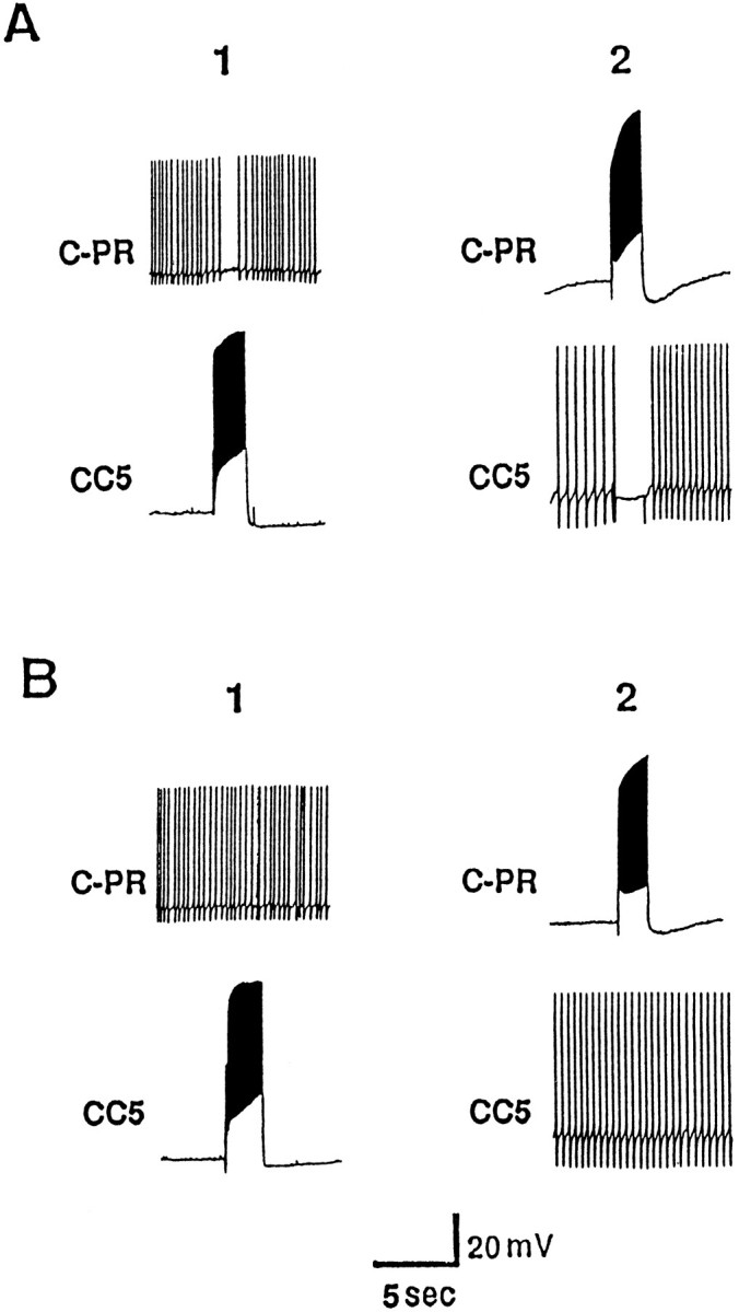 Fig. 9.