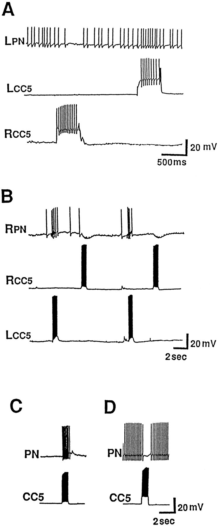 Fig. 7.