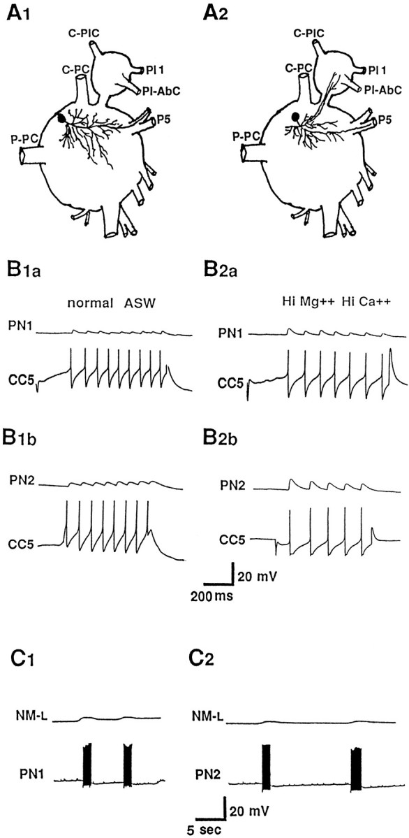 Fig. 8.