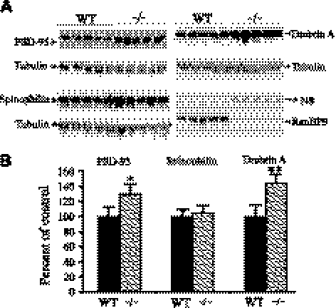 Figure 10.