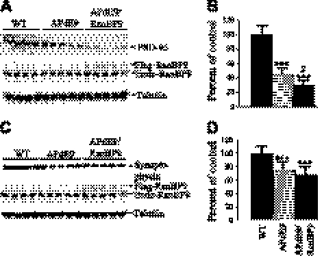 Figure 11.