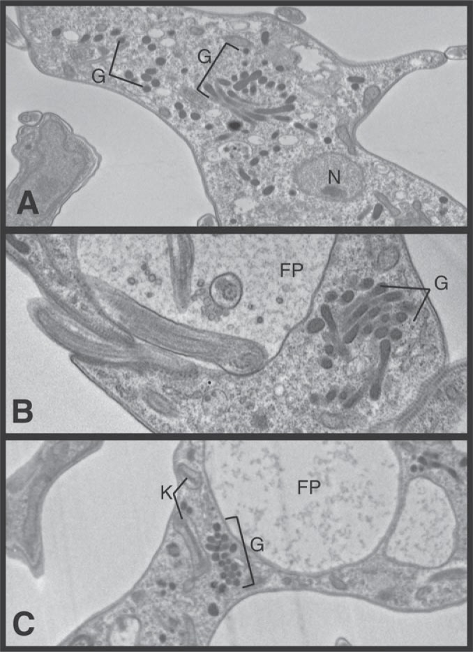 FIG 5