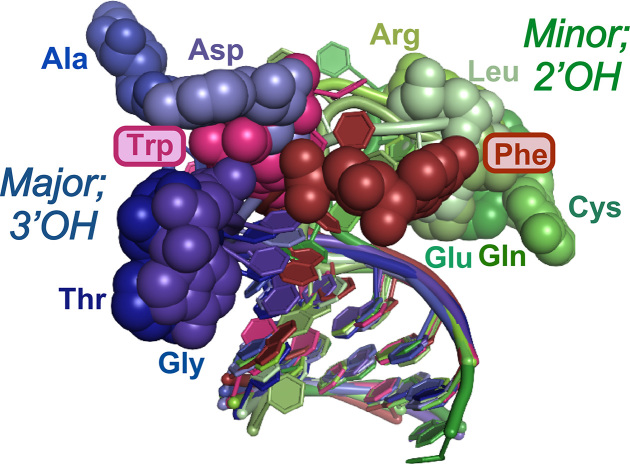 Figure 2.