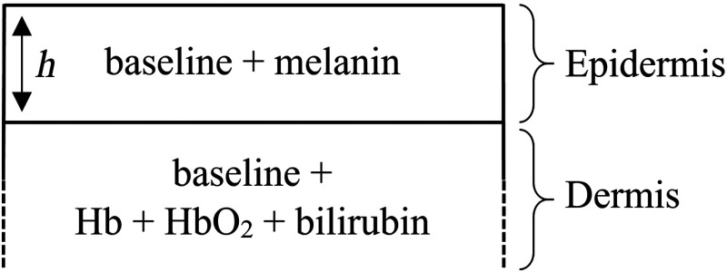 Fig. 12