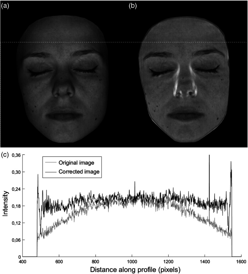 Fig. 10