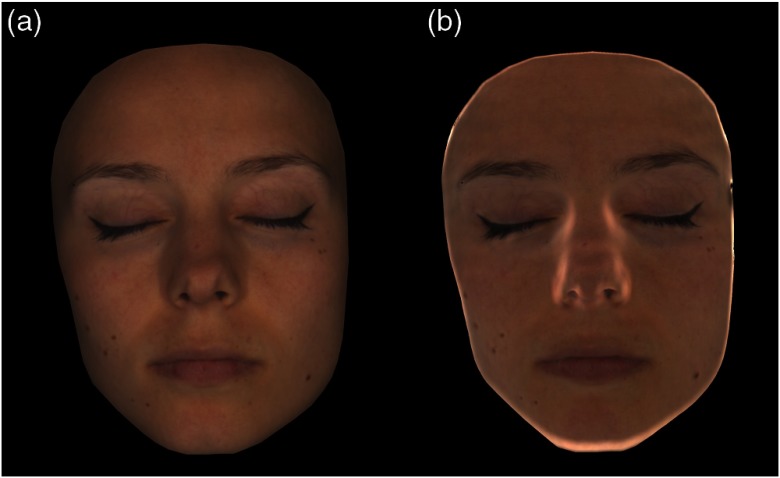 Fig. 11