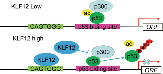 Fig. 7