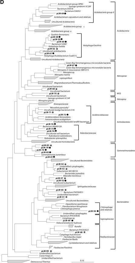 FIG.1.