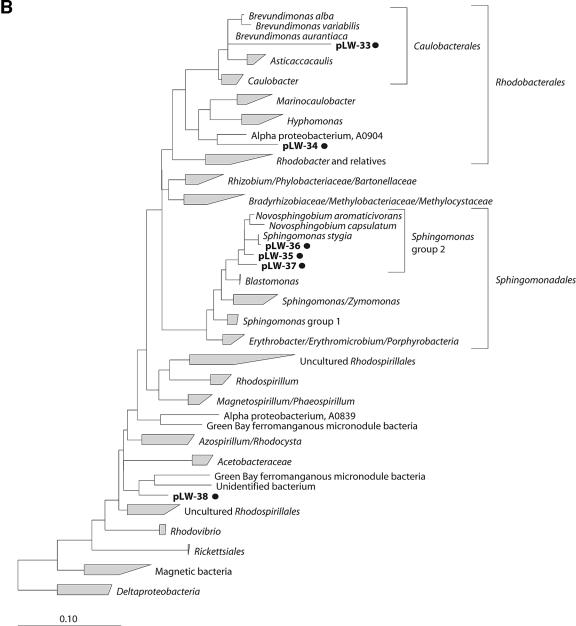 FIG.1.