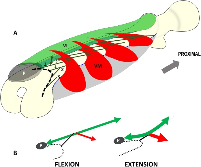 Fig. 3