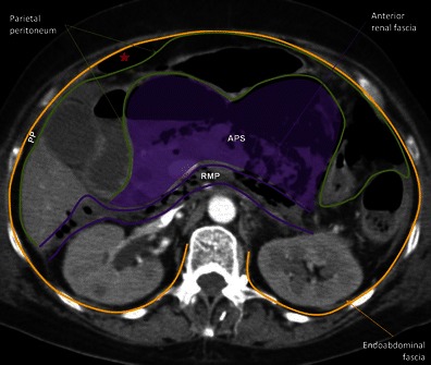 Fig. 8