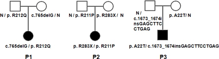 Fig 1