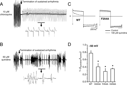 Figure 5