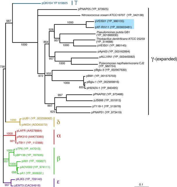 FIG. 1.