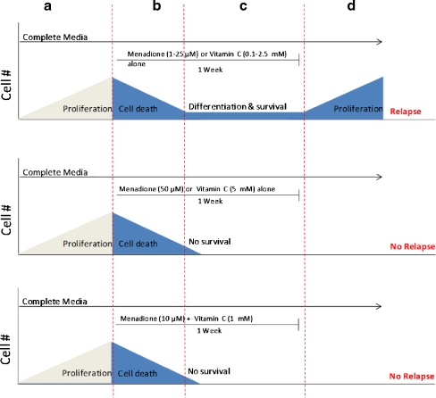 Fig. 3