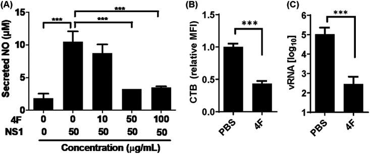 FIG 6