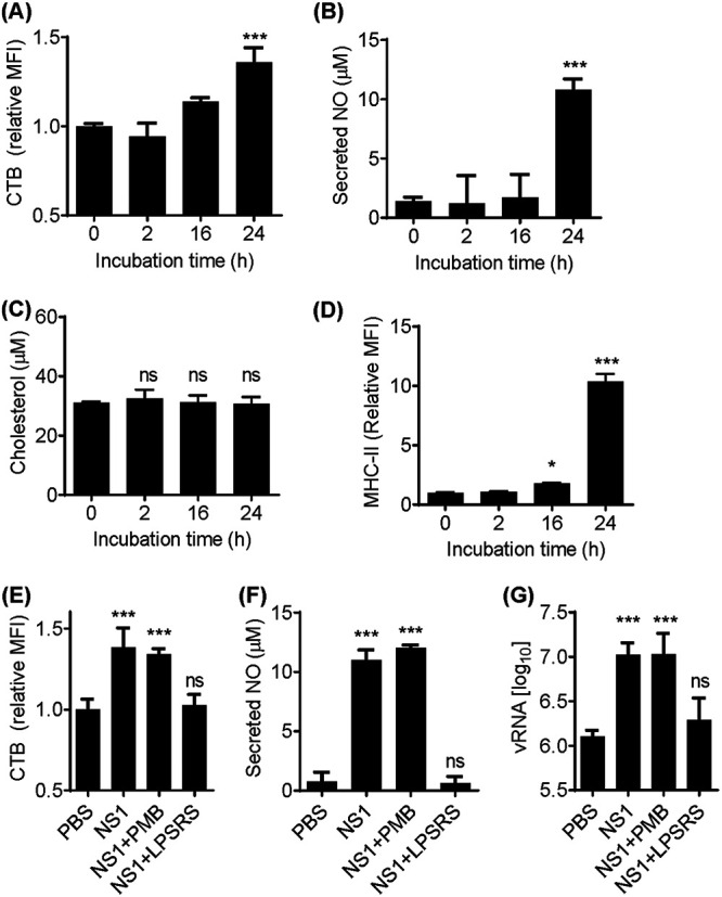 FIG 1