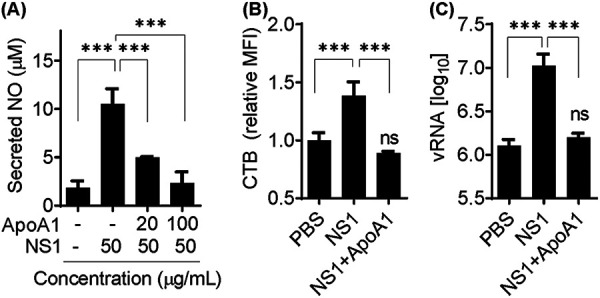 FIG 2