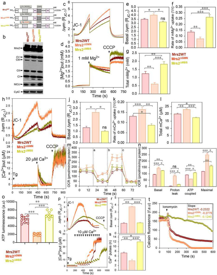 Figure 6.