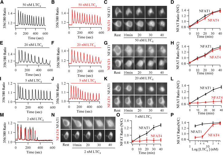 Figure 4