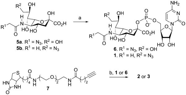 Scheme 1