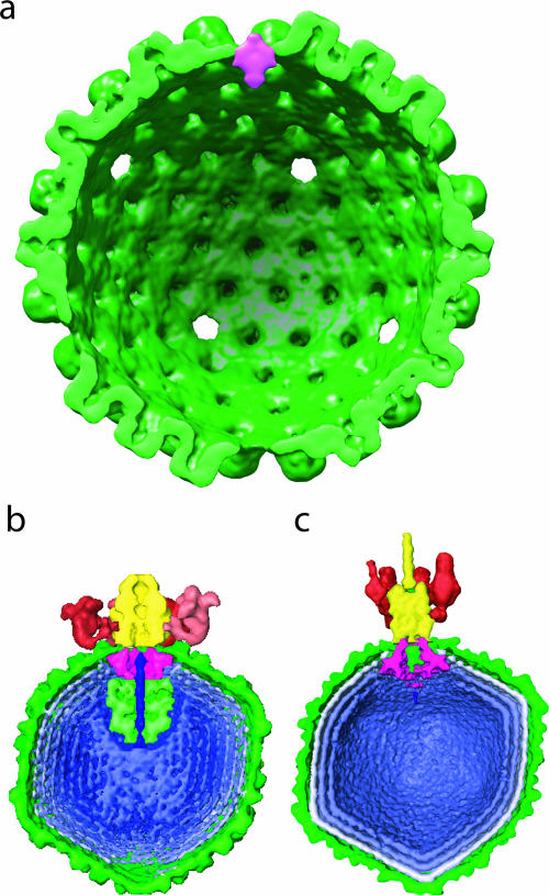 FIG. 4.