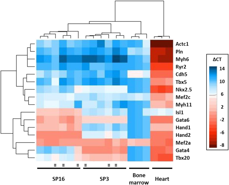 Fig. 2