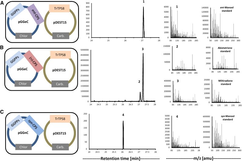 Figure 6.