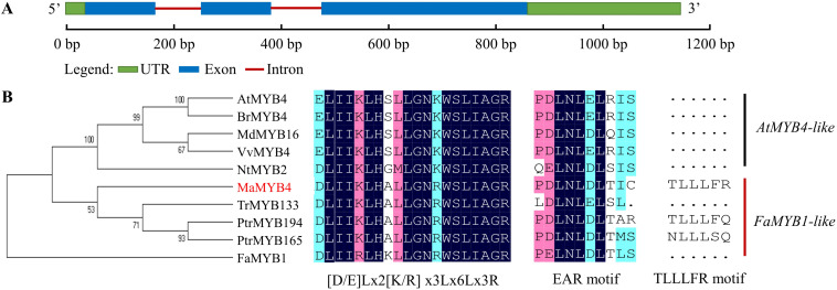 FIGURE 1