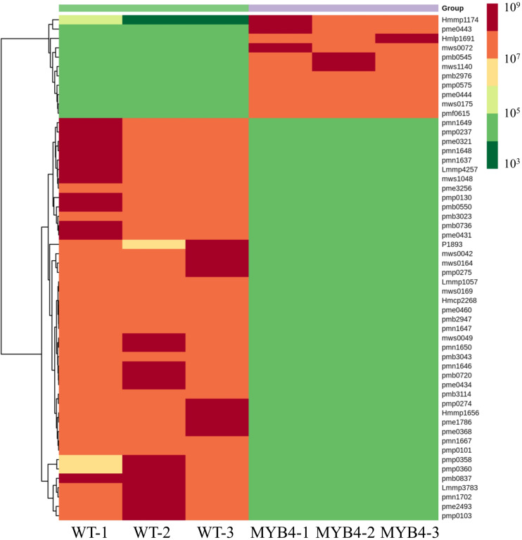 FIGURE 4